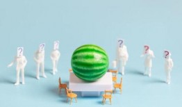 吃瓜最新爆料网址大全,最新爆料网址大全大汇总