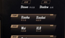 lpl最新爆料转会名单,最新爆料名单揭秘战队阵容大洗牌